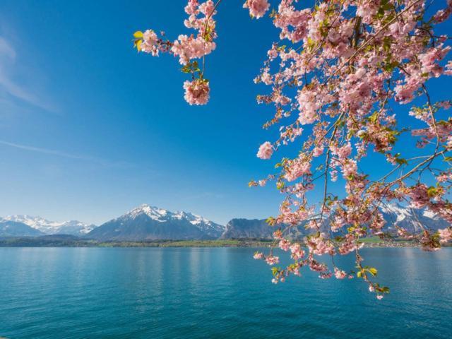 Schoene Ferienwohnung Mit Seeblick Thun Luaran gambar